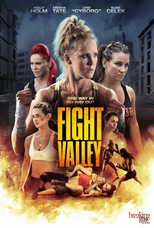 cover Fight Valley
