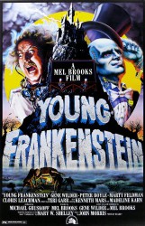cover Young Frankenstein